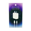 CARG IPHONE 20W